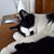 Sheri Audette's profile image