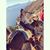 Alicia Soledad's profile image