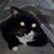 Scott Harper's profile image