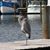 Margarita Fleming's profile image