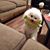 Melinda Beatty Torres's profile image