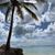 Linda Tyler-Richardson's profile image