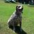 Reyna Torcuato Swanson's profile image
