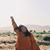 Tessa Darley's profile image