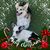 Sharon Pultorak's profile image