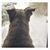 Sharron Alcantara Wynn's profile image