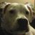 Jason M. Carroll's profile image