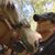 Raquel L Waskom Davis's profile image