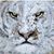 Justin Rudiger's profile image