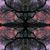 Kim Wilburn's profile image