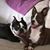 Sue Eichert's profile image