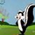 Bruce Scroggs's profile image