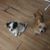 Linda Piercy Hamm's profile image