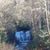 Dedee Maynard Brown's profile image