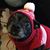 Diana Putkovich's profile image