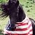 Donna Barber Grundberg's profile image