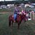 Riley Daufenbach's profile image