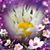 Kym Ridley Swinehart's profile image