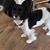 Mary Olson-sinz's profile image