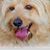 Mike Zehnder's profile image