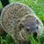 Tammy Lynn's profile image