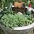 Cindy Gray's profile image