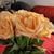 Maria-Raquel Wilson's profile image