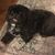 David Bohn's profile image