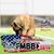 Josh Markow's profile image