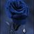 Frances Ruiz's profile image