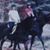 Mary Anne Moore Boyle's profile image