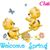 Nancy Roehrich's profile image