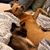 Cadja Wouters's profile image