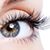 Pretty Lash's profile image