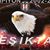 Mustafa Kılkış's profile image