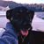 Janet Newton Frey's profile image