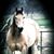 Tanya Mark Larive's profile image