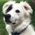 Charles Lee Ferguson Jr.'s profile image