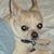 Cindy Niemiec's profile image