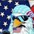 Todd Shultz's profile image