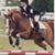 Susan Provenzano's profile image