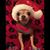 Gayla Graham Hensley's profile image