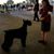 Julie Elliott's profile image