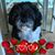 Tami Hadix's profile image