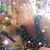 Sharon Suzanne's profile image