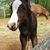 Susan Halsey Kirton's profile image
