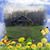 Donna A Frisse's profile image