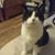 David Boulanger's profile image