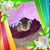 Debbie Dittberner's profile image