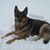 Terry Doane's profile image